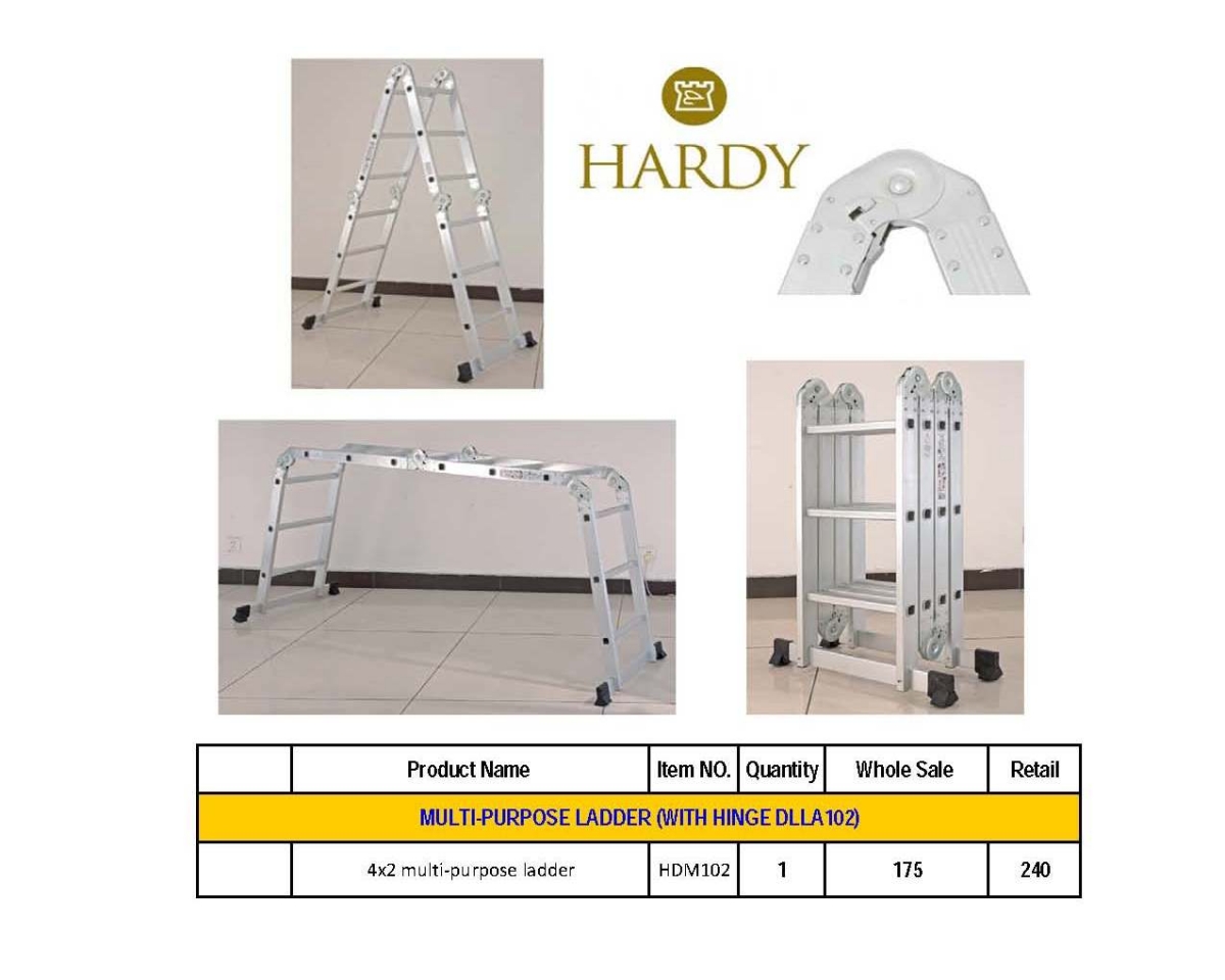 Ladder (1)  