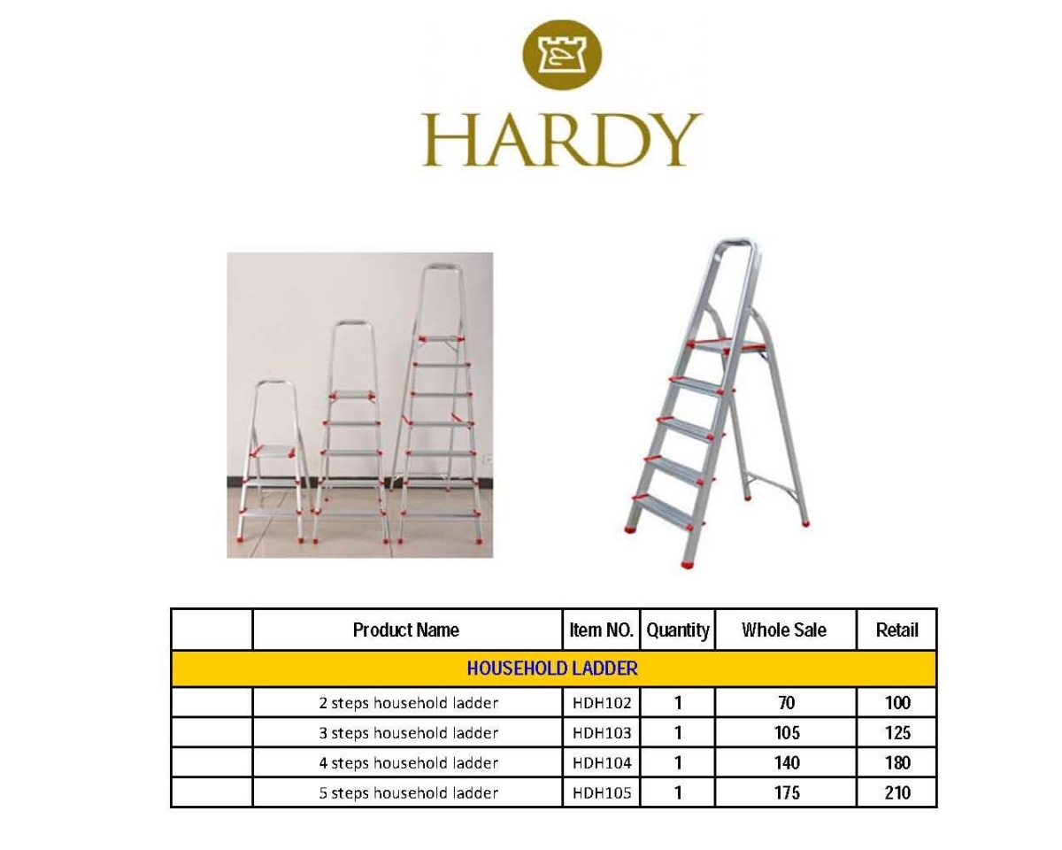 Ladder (2)  