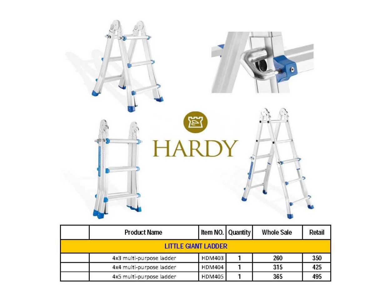Ladder (3)  