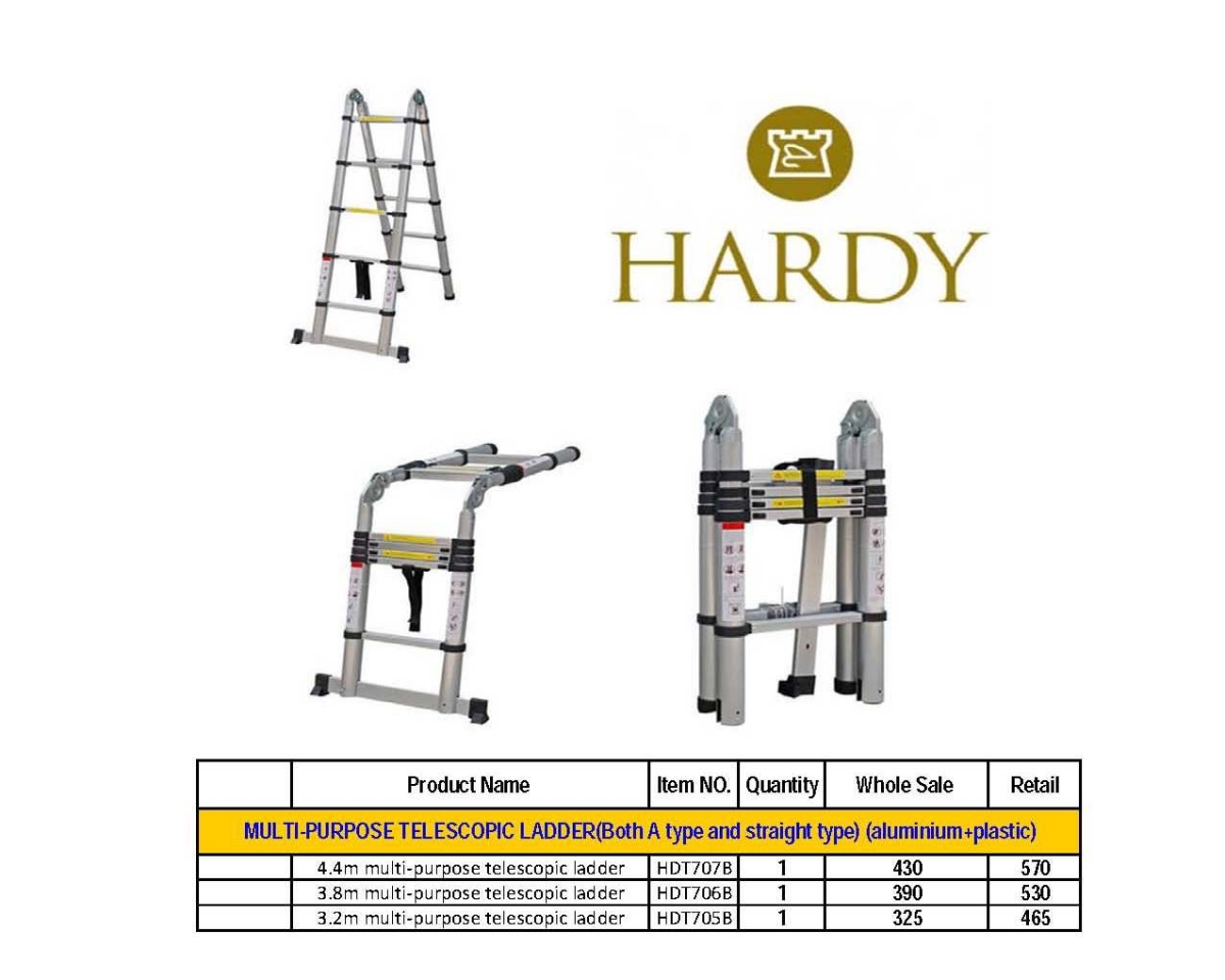 Ladder (5)  