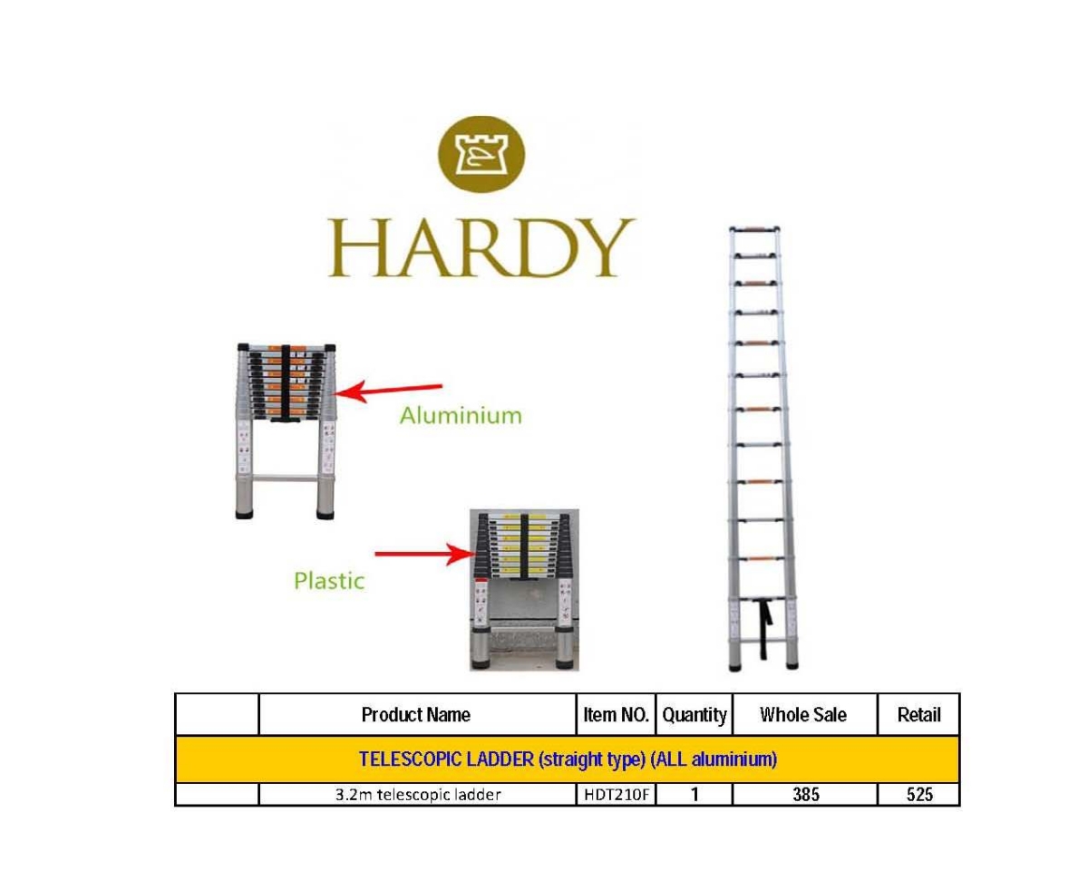 Ladder (7)  