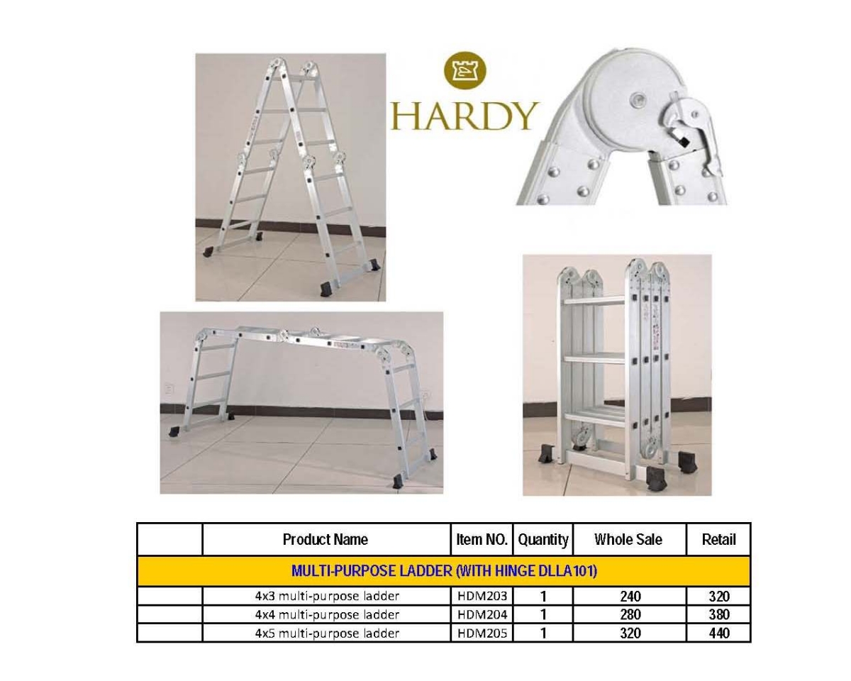 Ladder (9)  